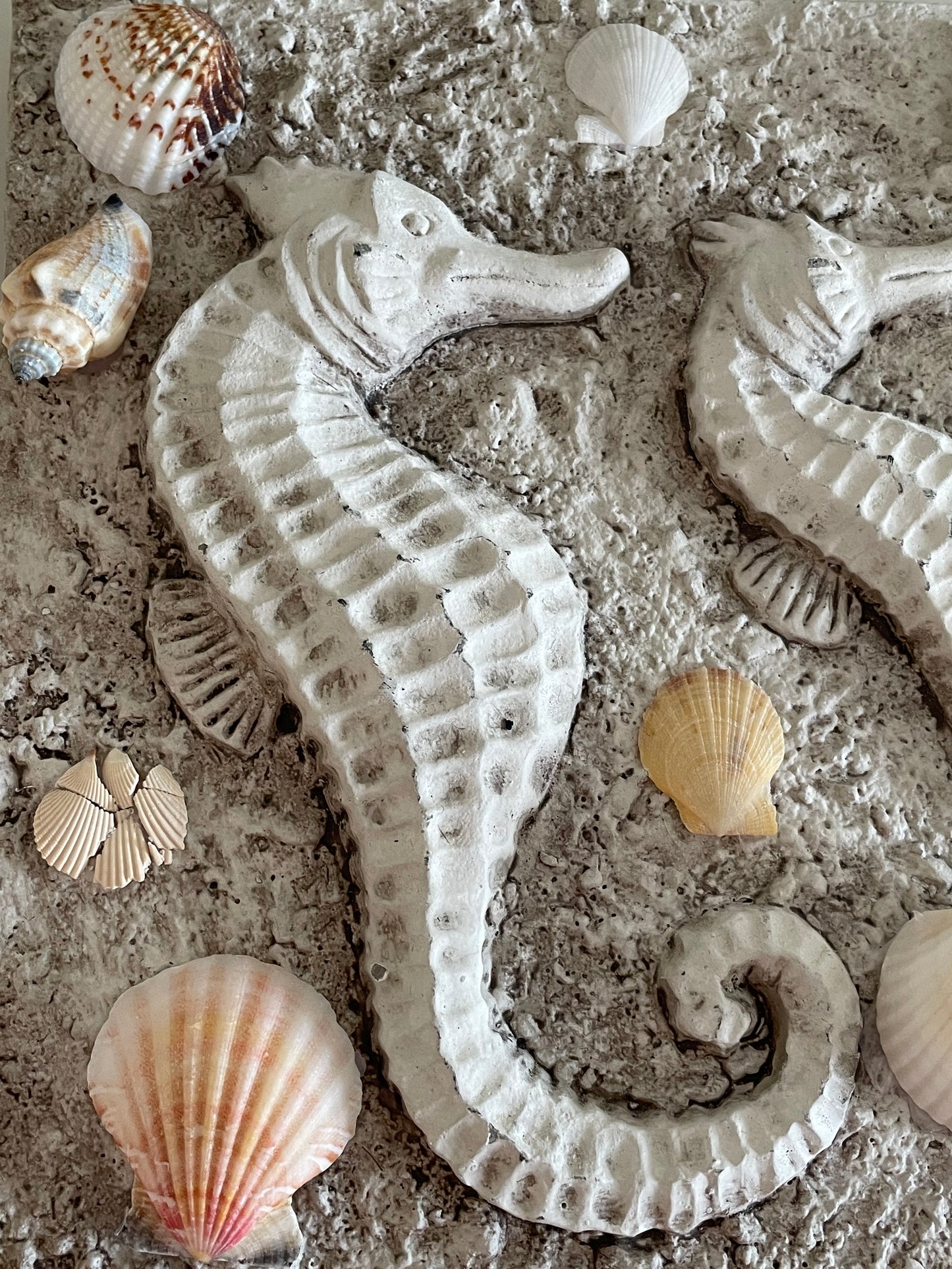 Seahorse dreams 🌊