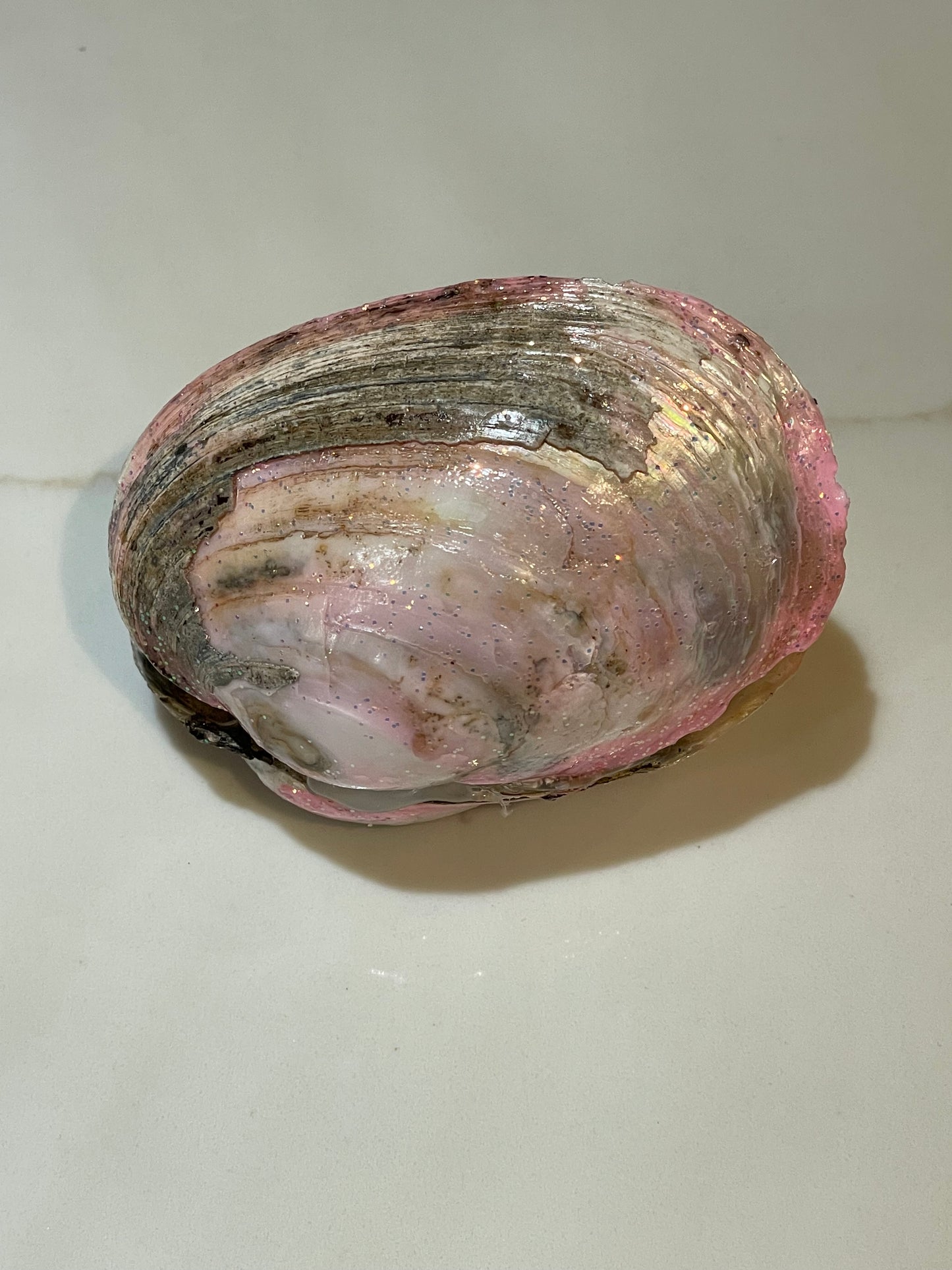 Pink river shell with pearls inside 💖