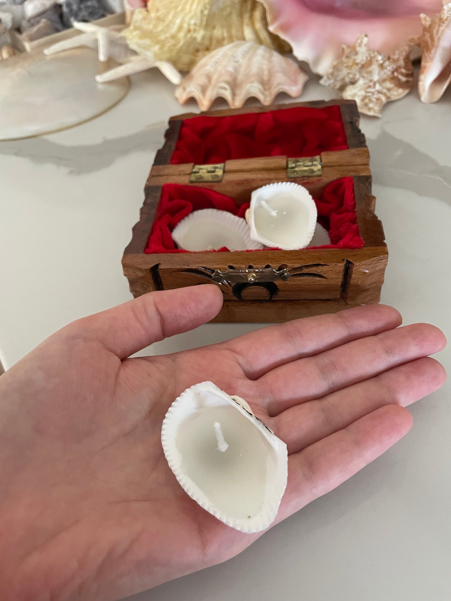 Seashell candles 🕯️
