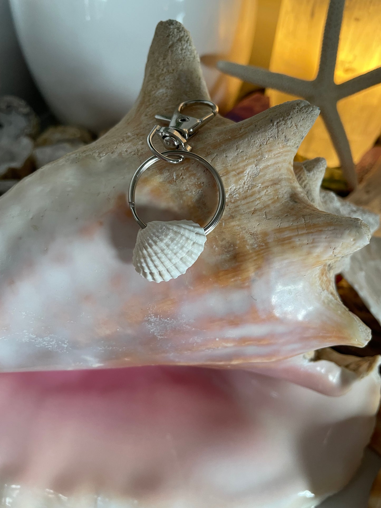 Mini shell keychain 🐚 ✨