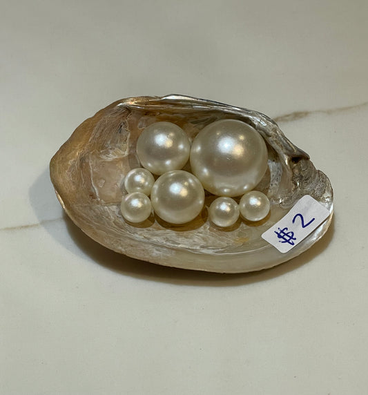 River shell with pearls โจ