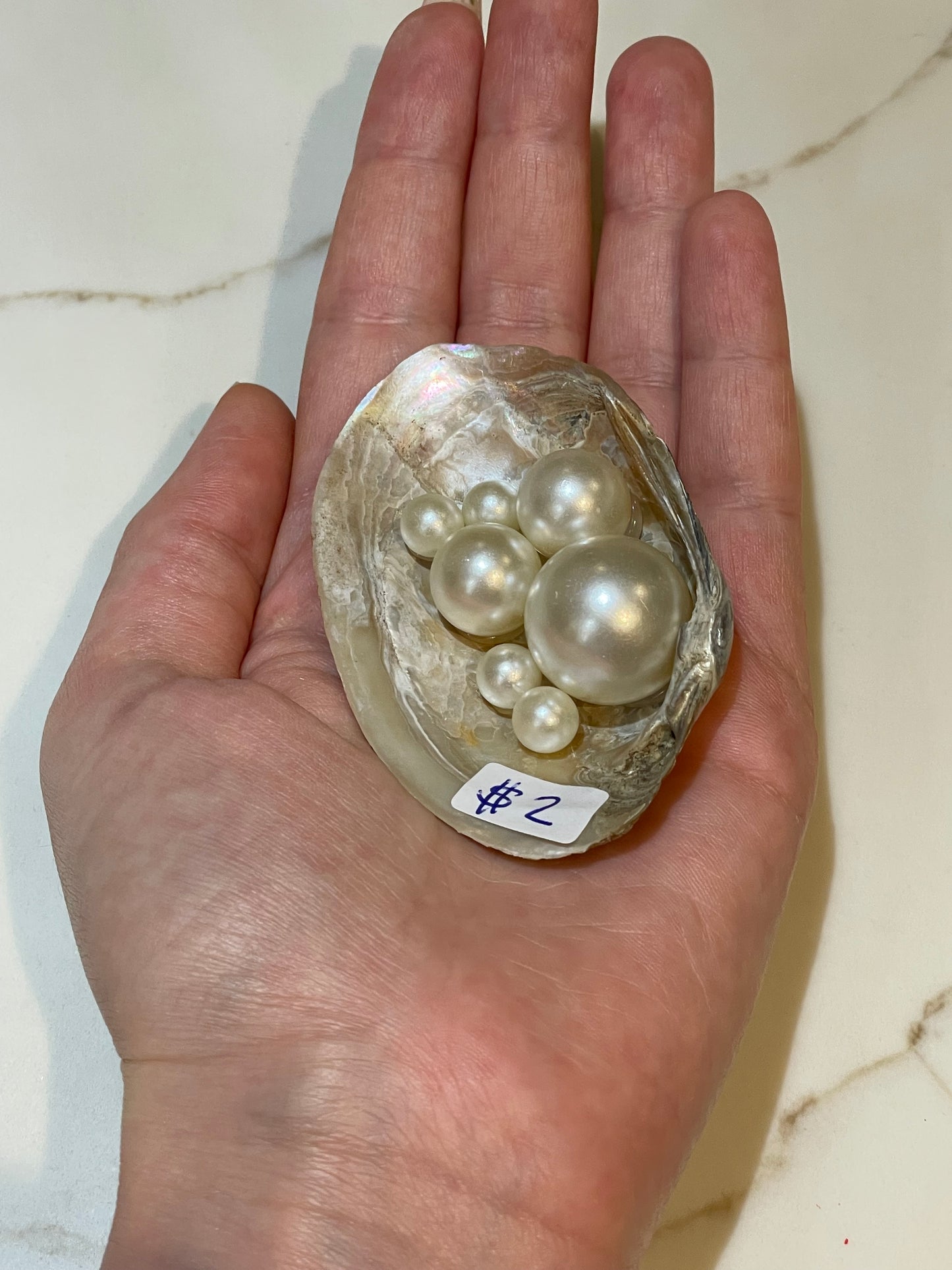 River shell with pearls ✨