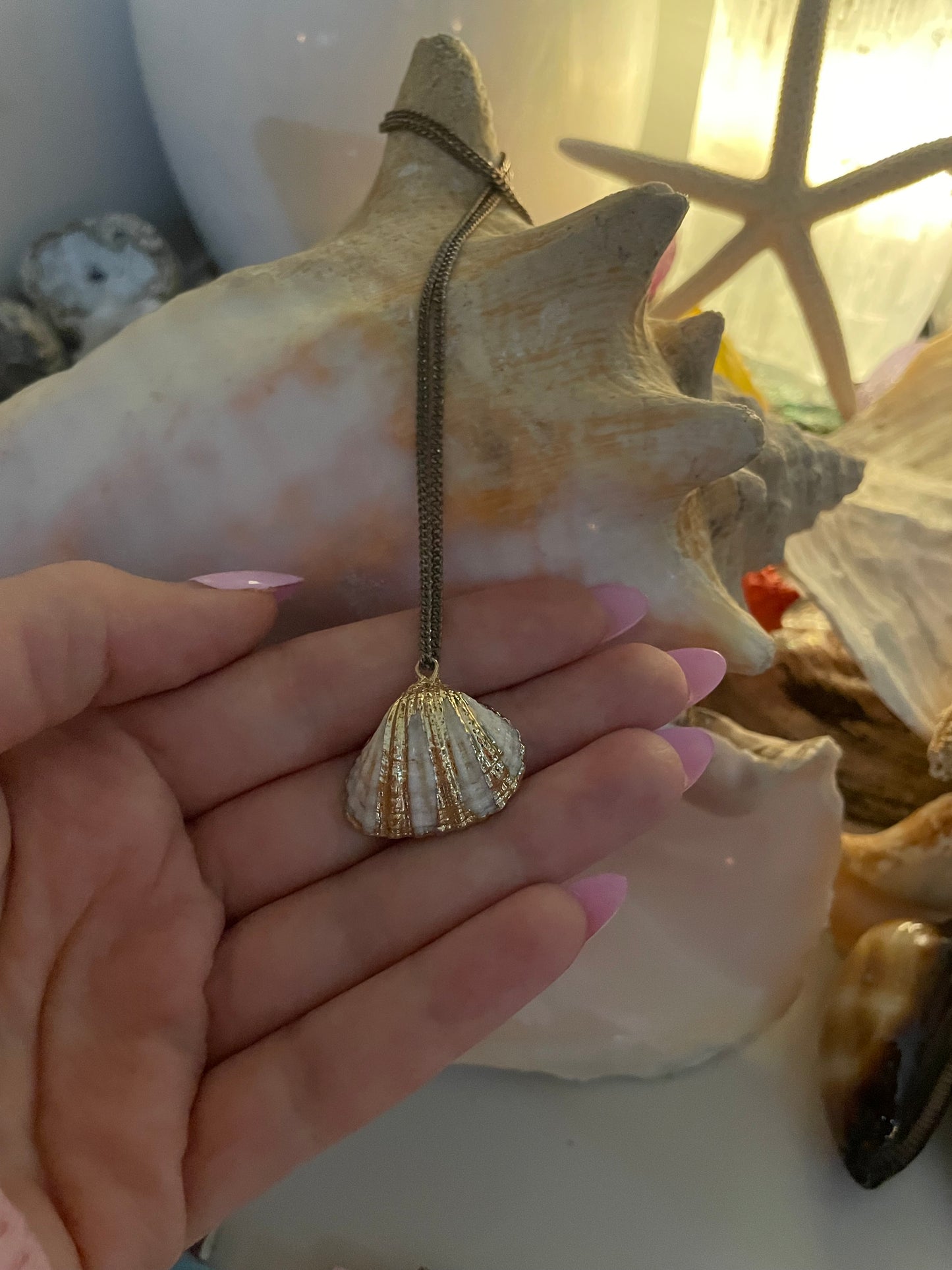 Seashell necklace 🧜🏻♀️🐚✨