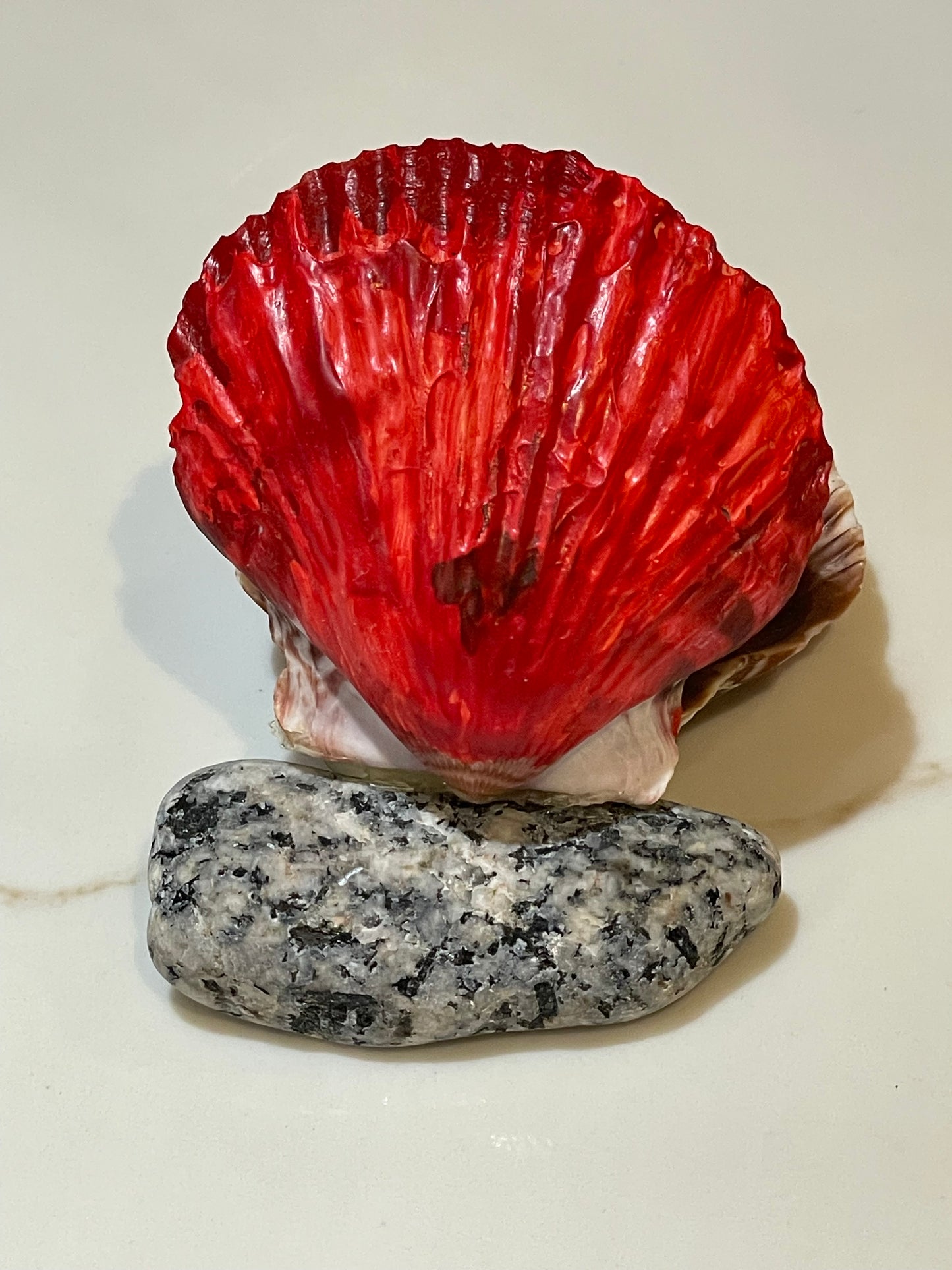 Painted seashells mounted on granite with pearls inside 💖🌊