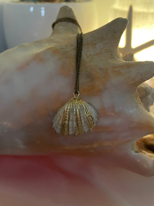 Seashell necklace π§π»ββοΈπβ¨