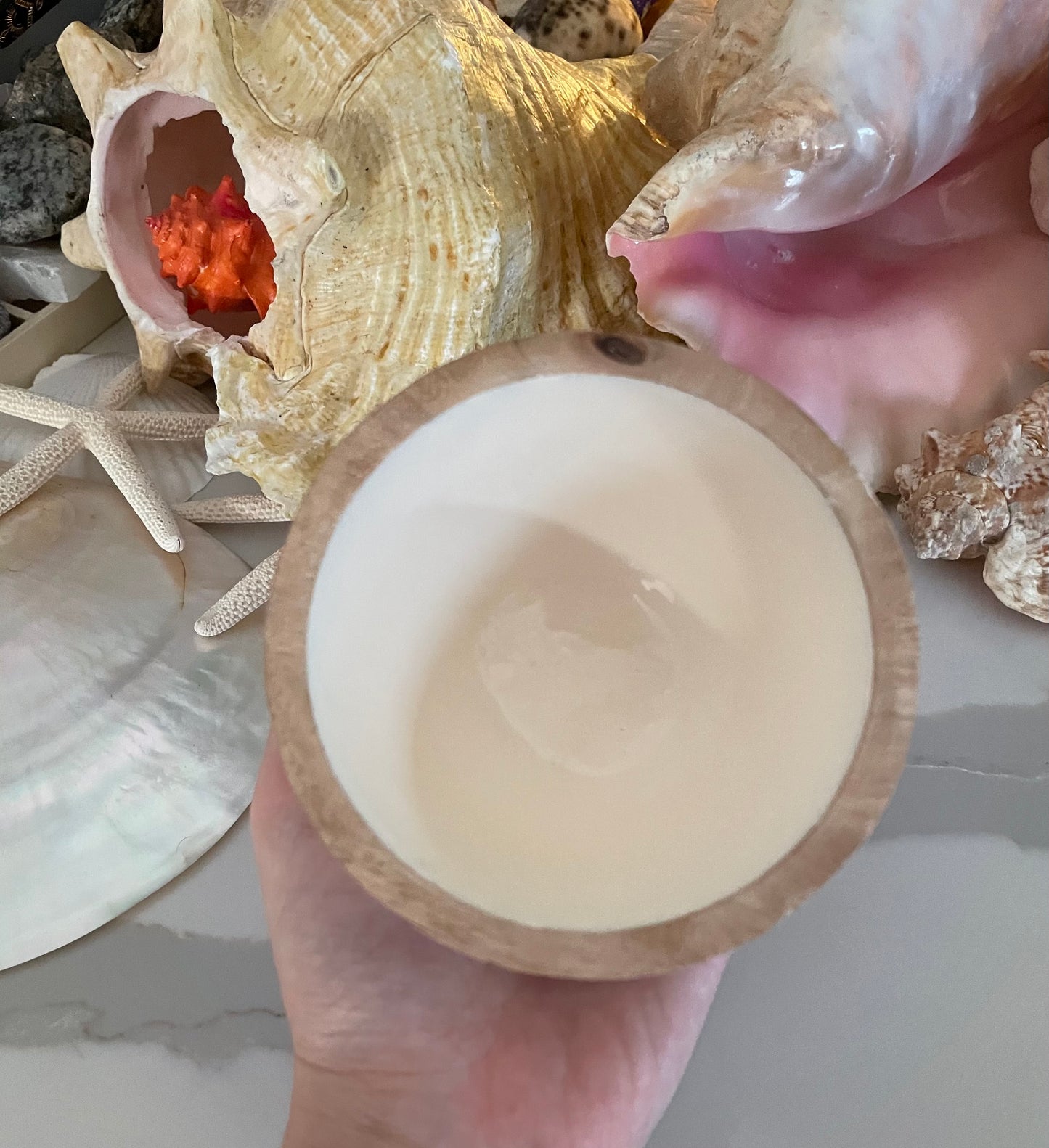 Wooden sea shell bowl 🧜🏻♀️🐚✨