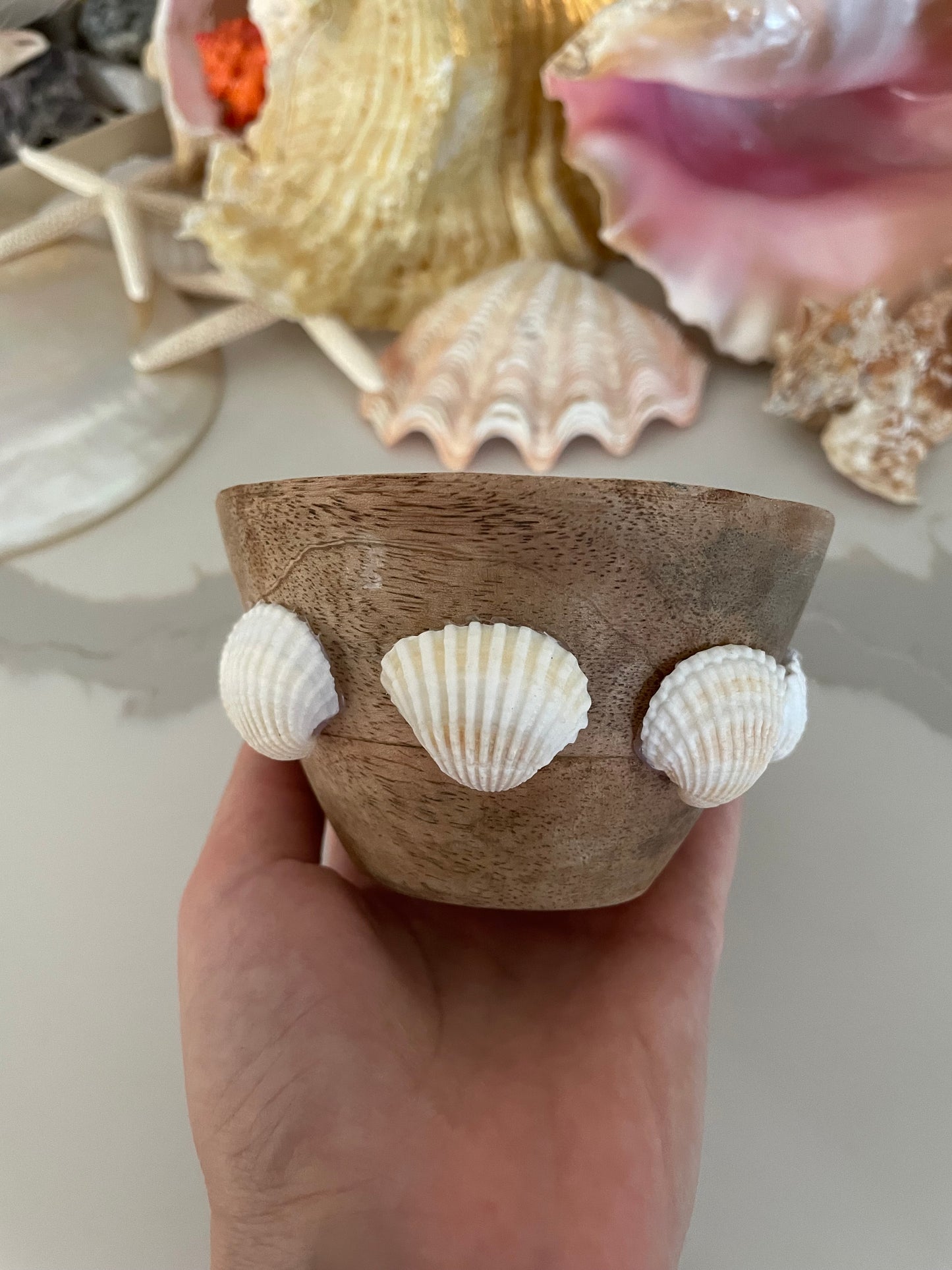 Wooden sea shell bowl 🧜🏻♀️🐚✨