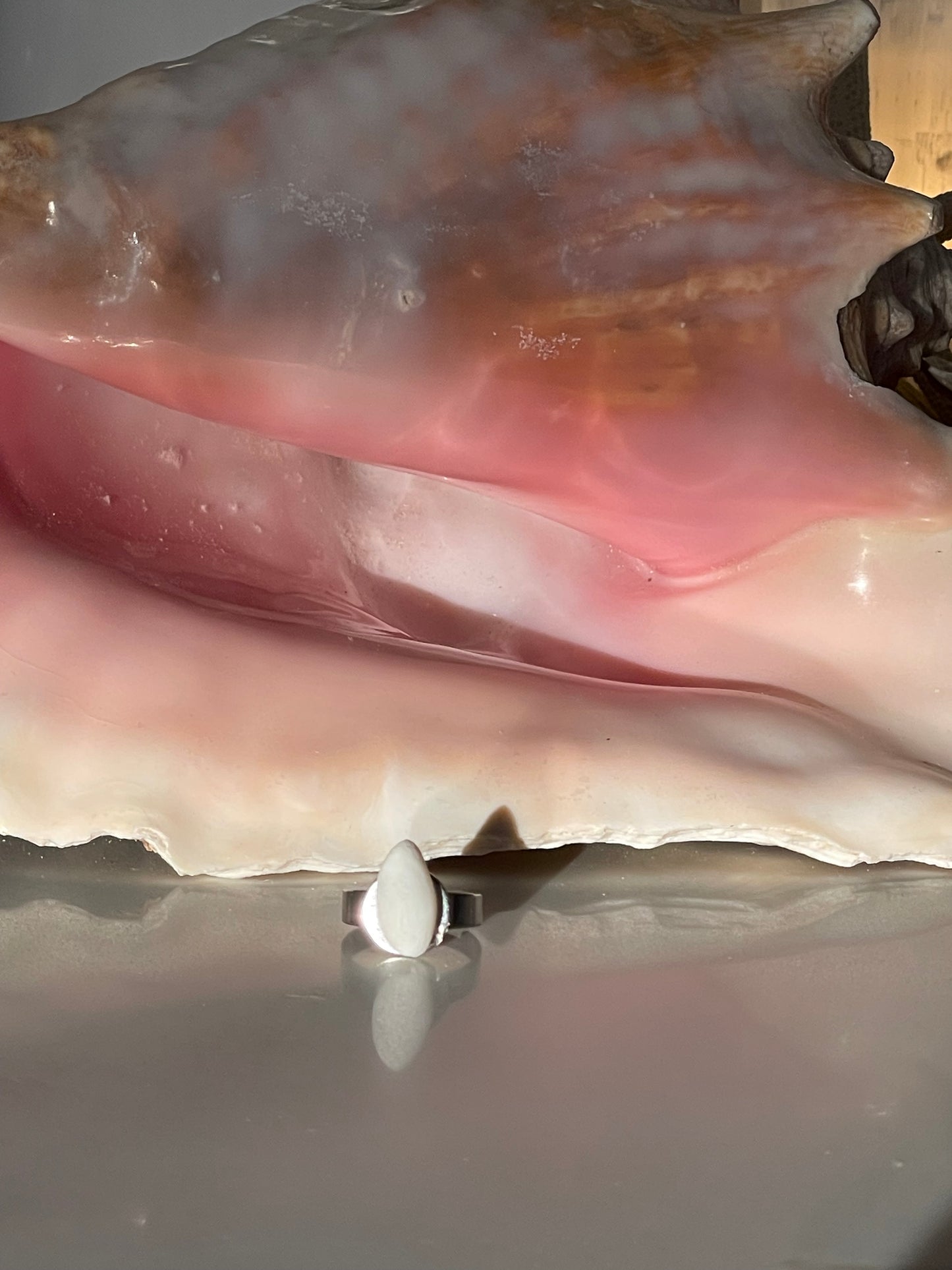 Small shell ring 🧜🏻♀️💍