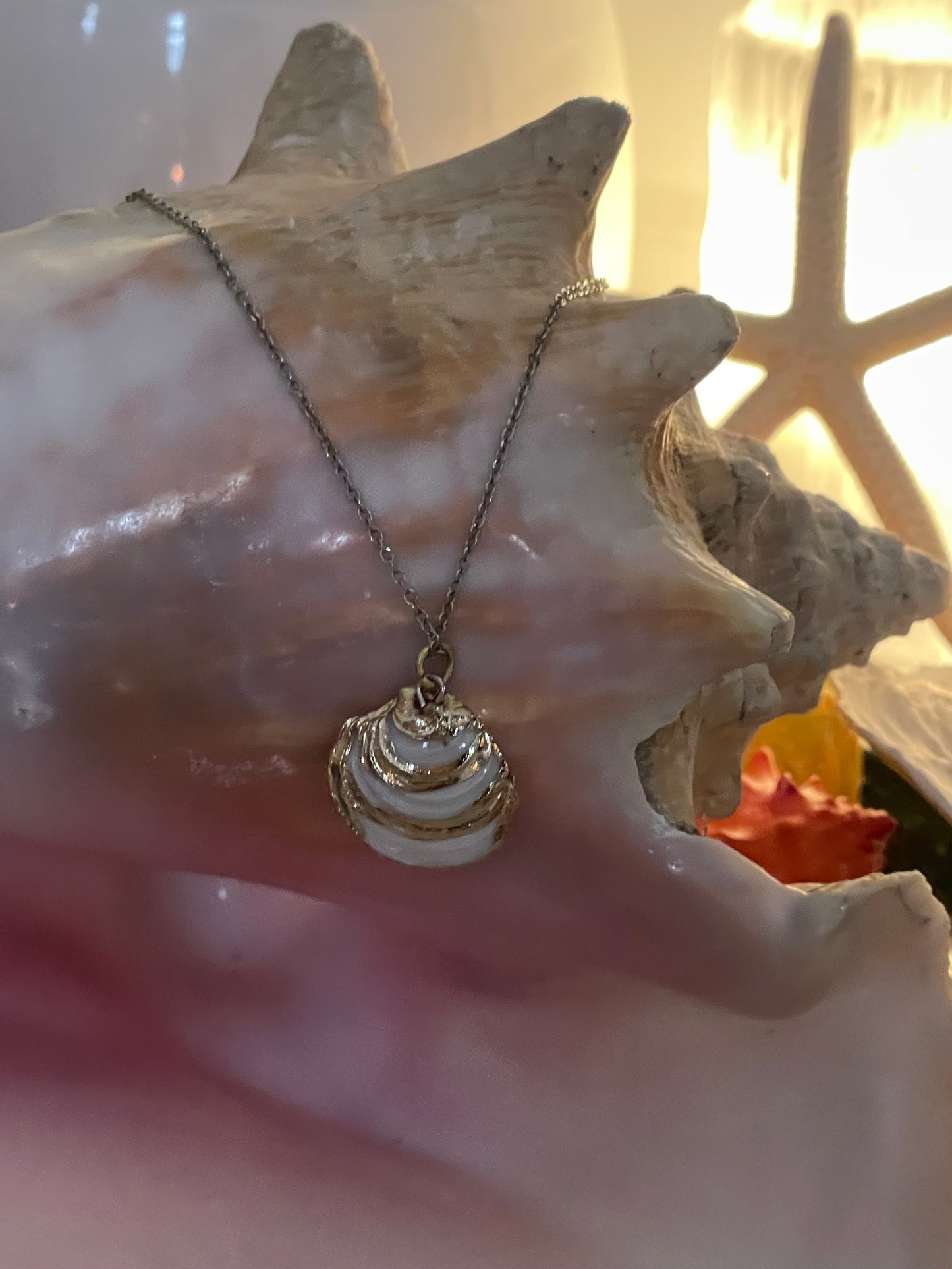 Seashell necklace 🧜🏻♀️