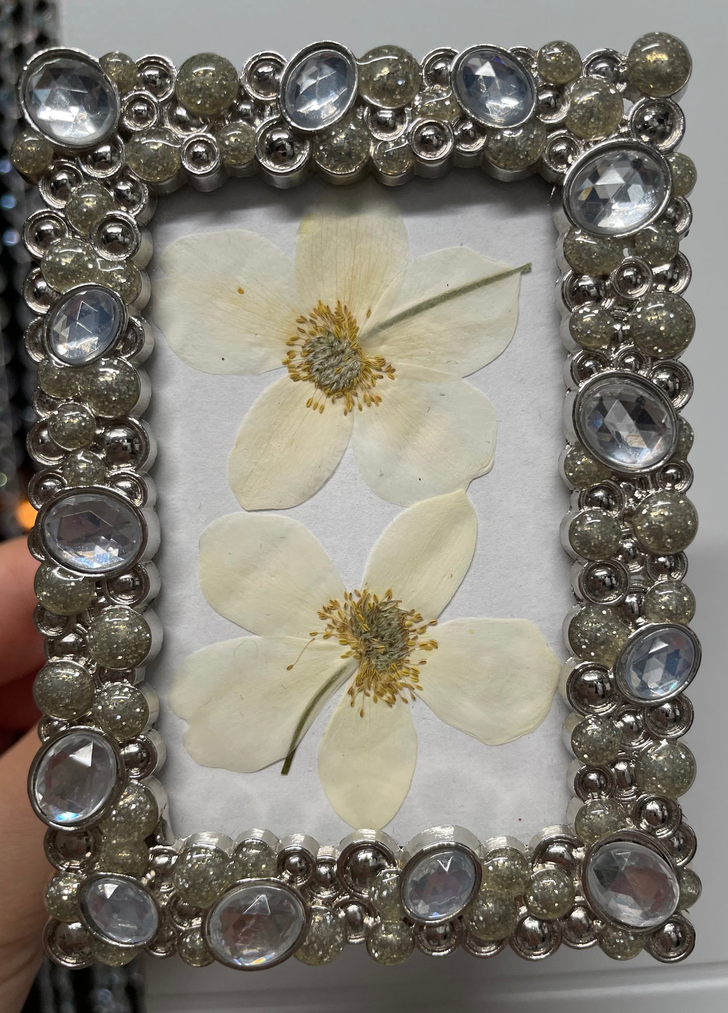 Pressed flower ~ Canada anemone 🌼 mini frame ✨