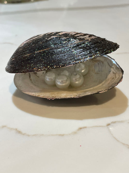 Sparkly river shell with pearls inside β¨β¨