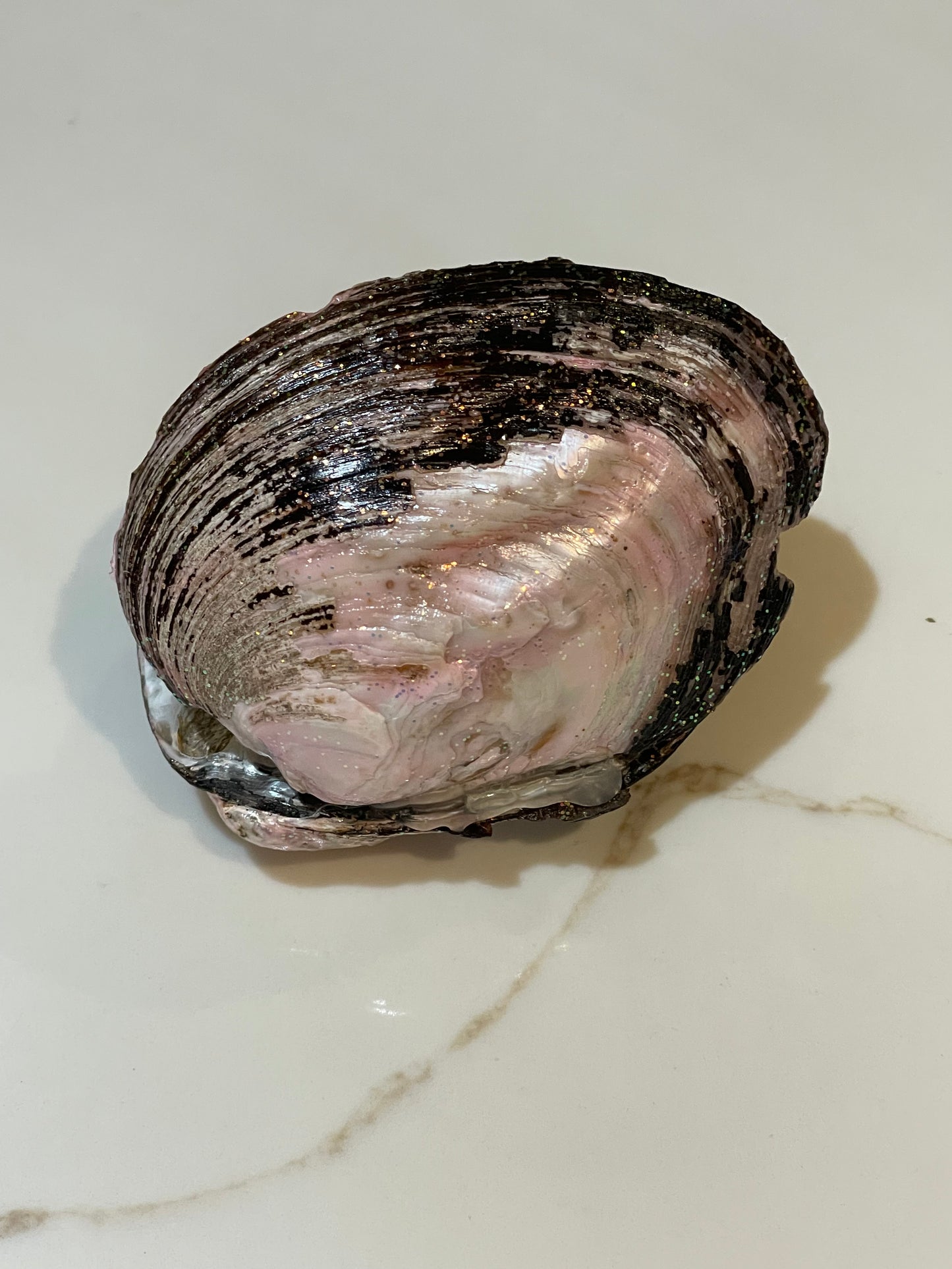 River shell with pearls inside ✨