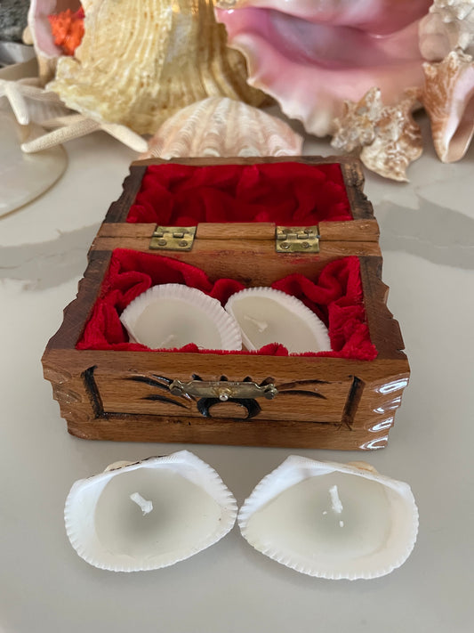 Seashell candles ๐ฏ๏ธ