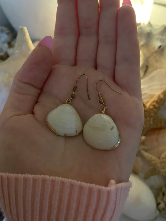 Seashell earrings ๐ง๐ปโโ๏ธ๐โจ