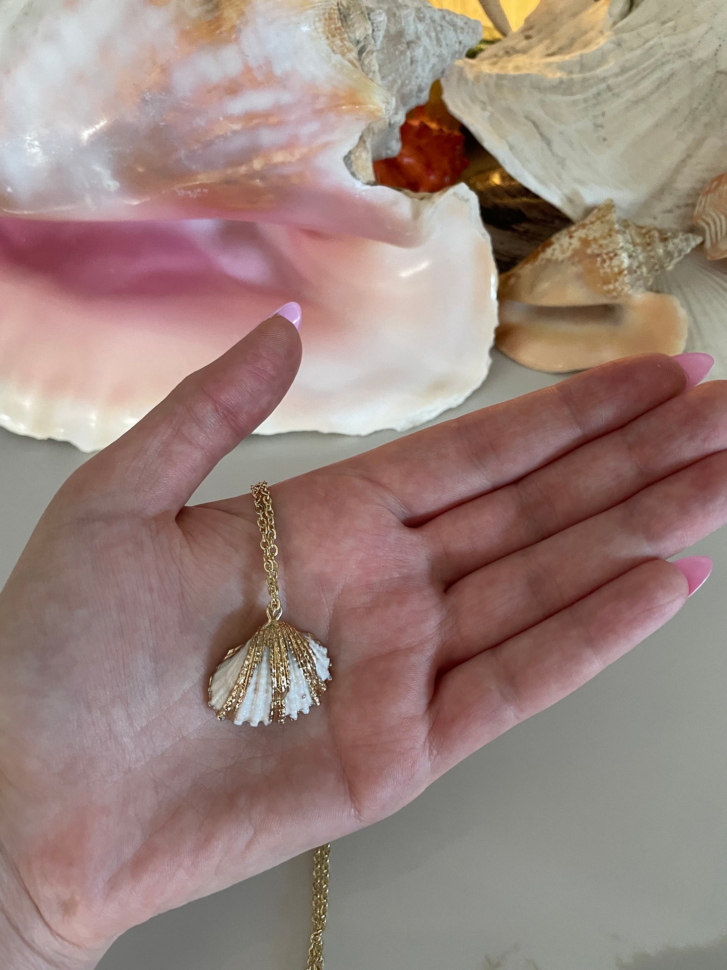 Gold shell necklace ✨