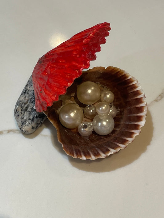 Painted seashells mounted on granite with pearls inside ππ