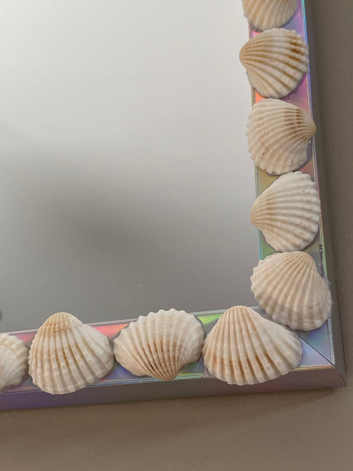 Shell mirror 🐚✨