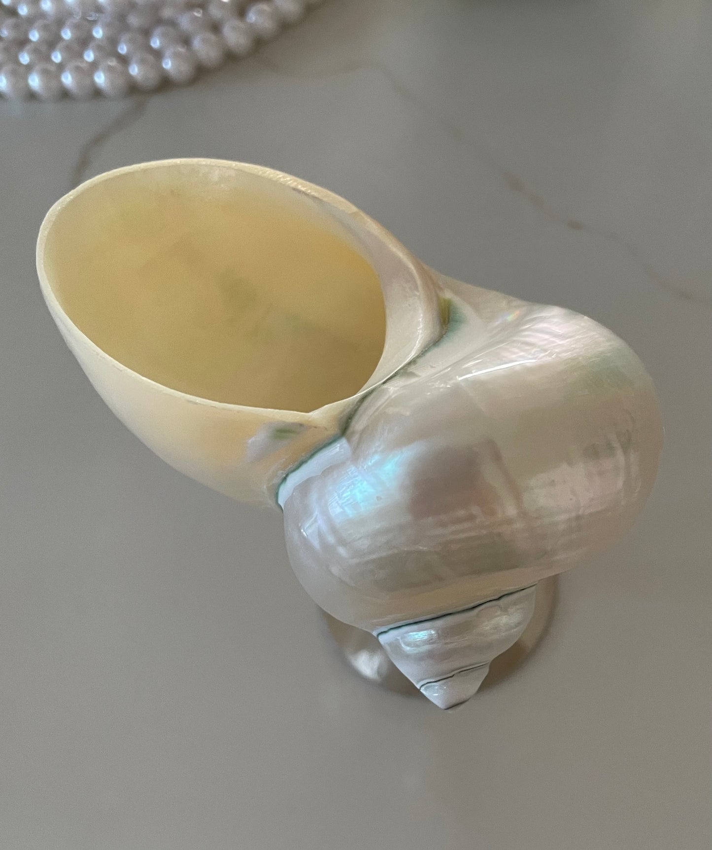 Shell wine glasses 🐚🧜🏻‍♀️🍷✨