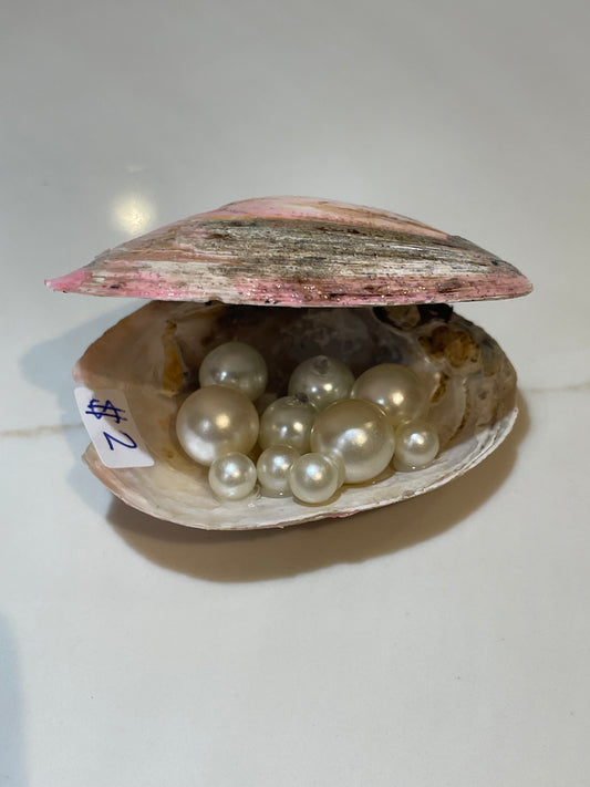Pink river shell with pearls inside 💖
