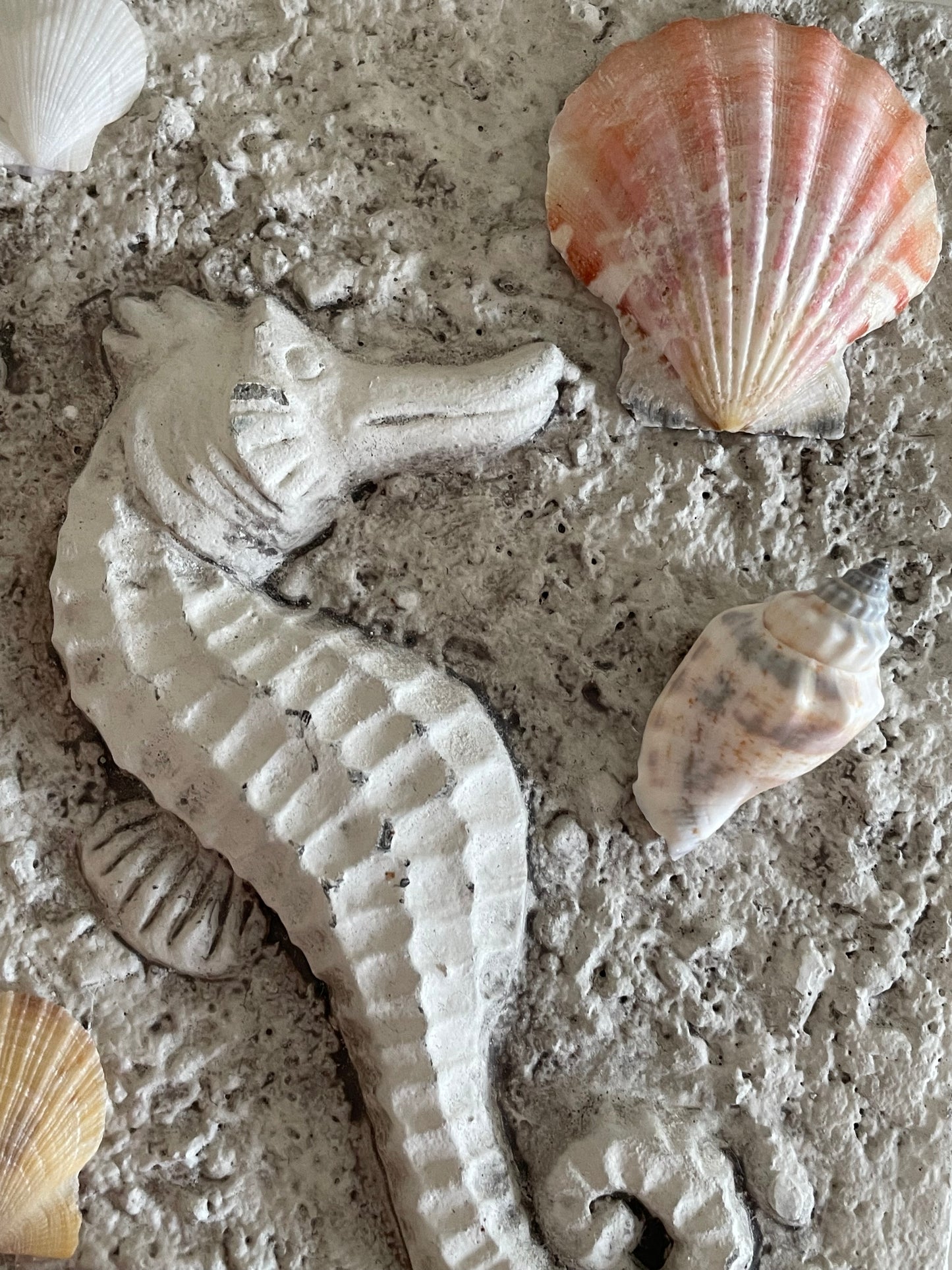 Seahorse dreams 🌊