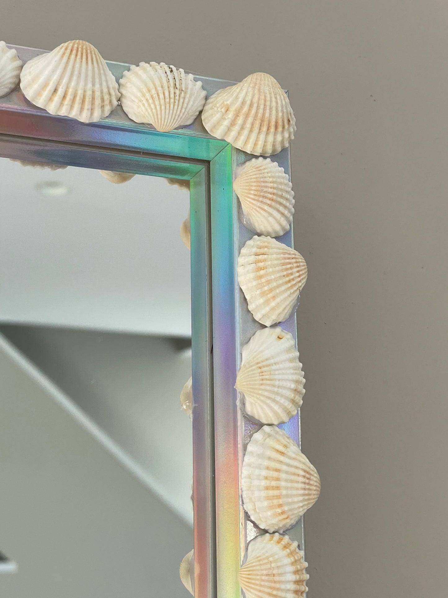Shell mirror 🐚✨