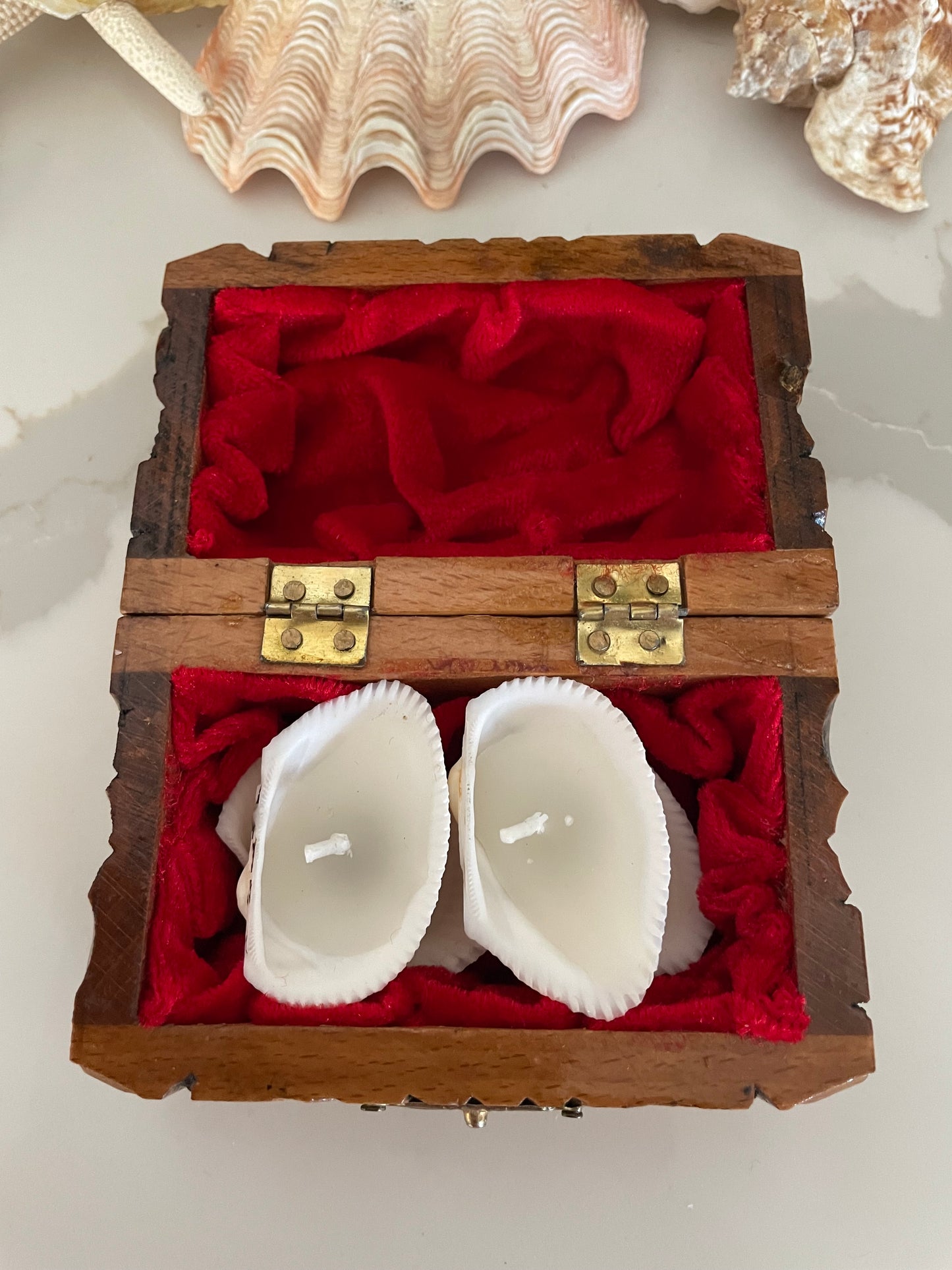 Seashell candles 🕯️