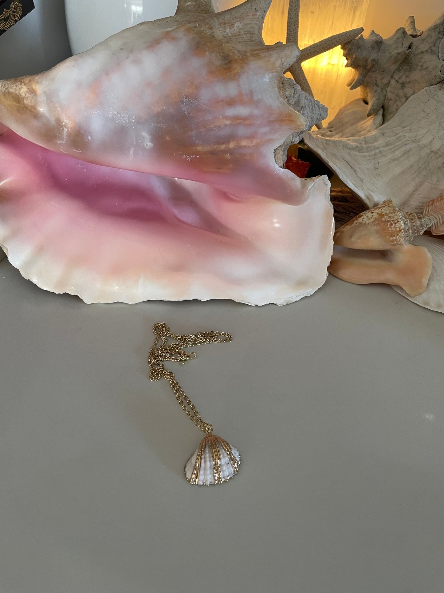 Gold shell necklace ✨