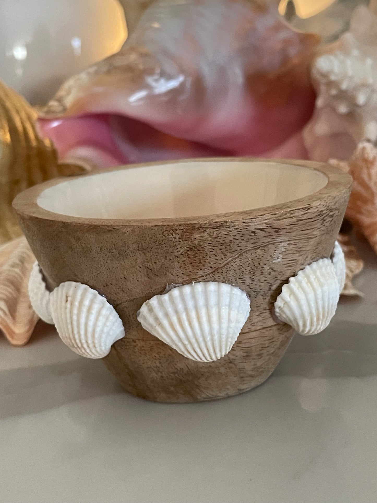 Wooden sea shell bowl 🧜🏻‍♀️🐚✨