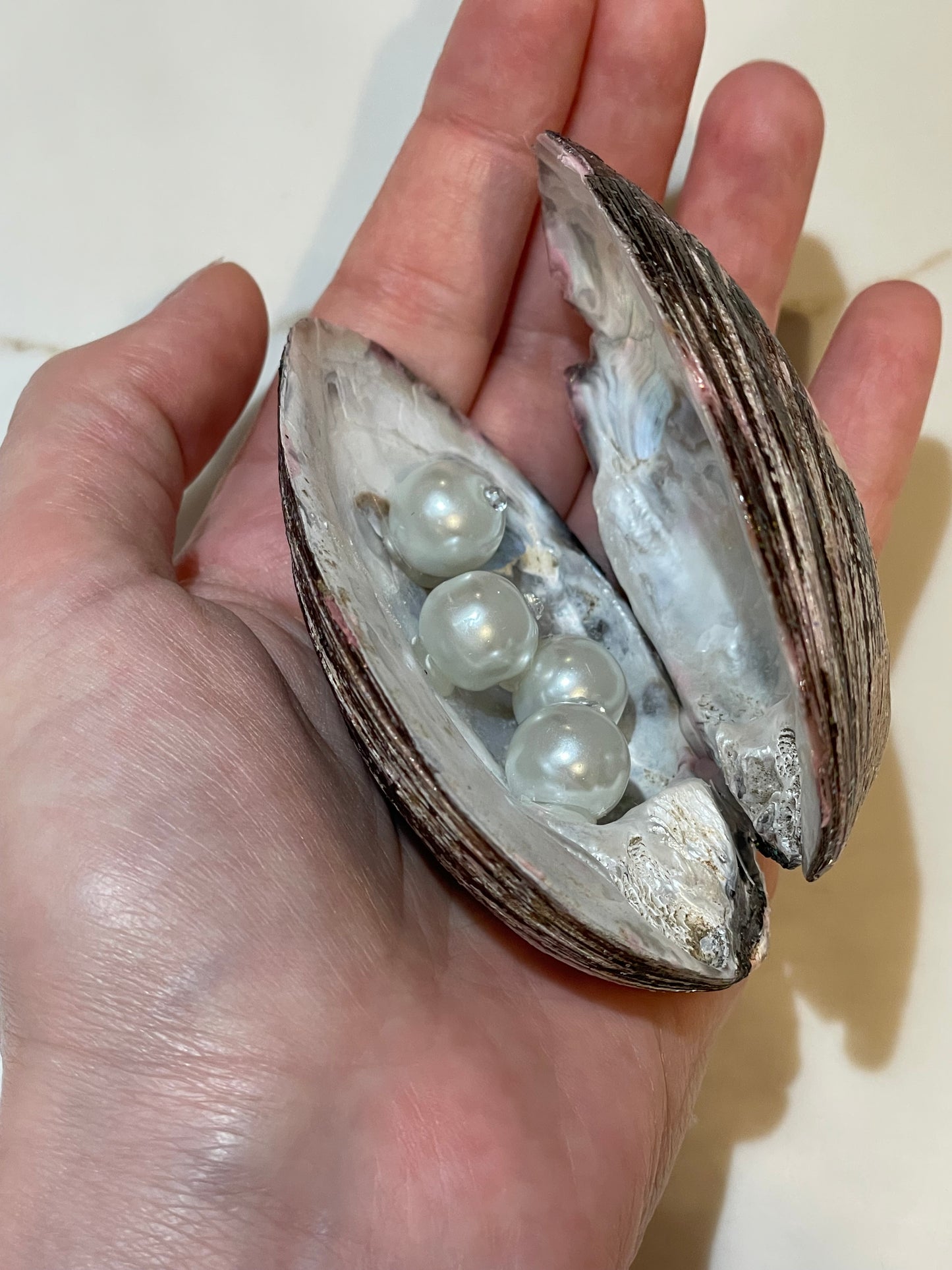 River shell with pearls inside ✨