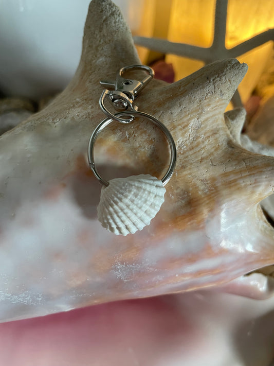 Mini shell keychain 🐚 ✨