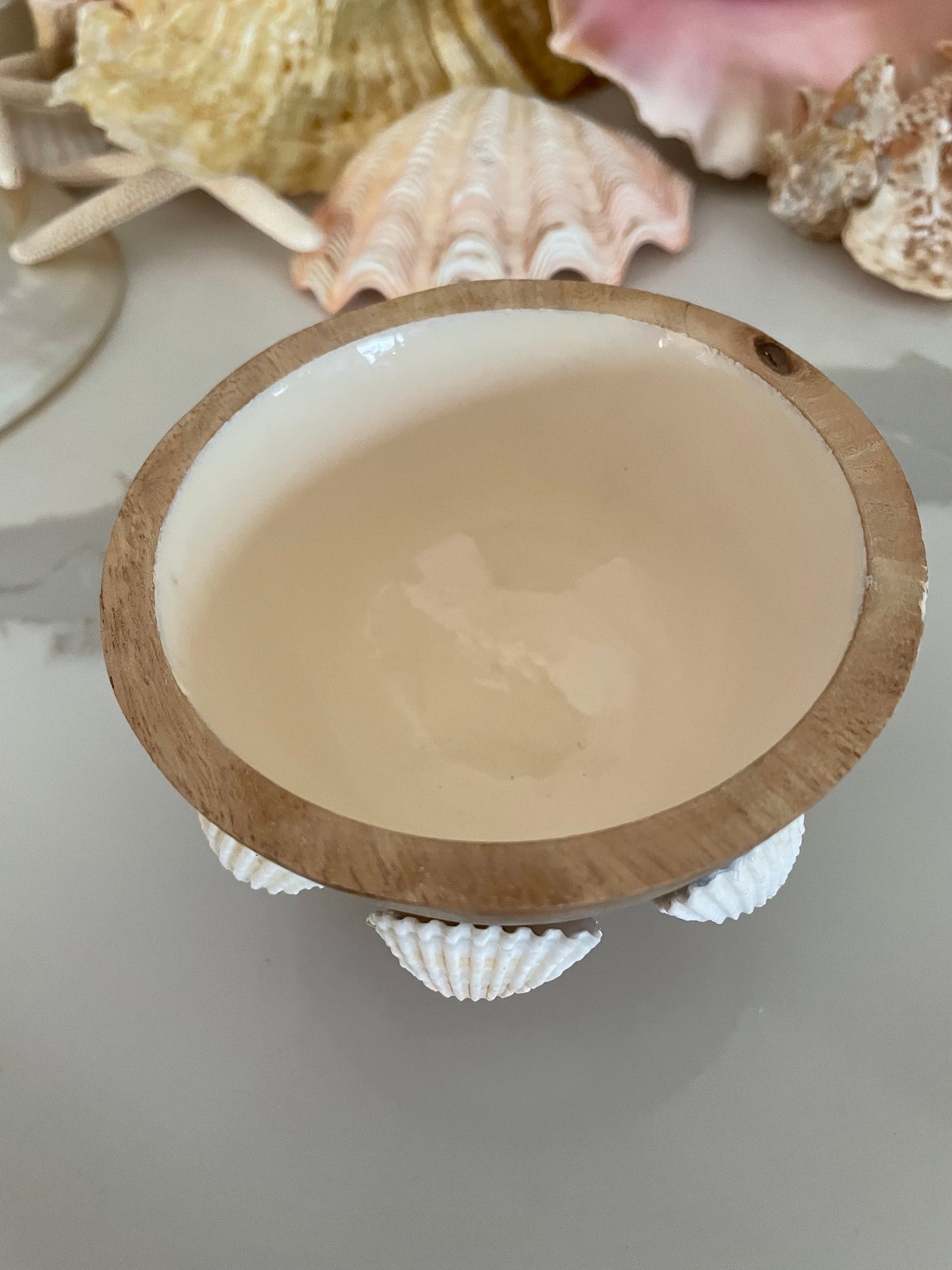 Wooden sea shell bowl 🧜🏻‍♀️🐚✨